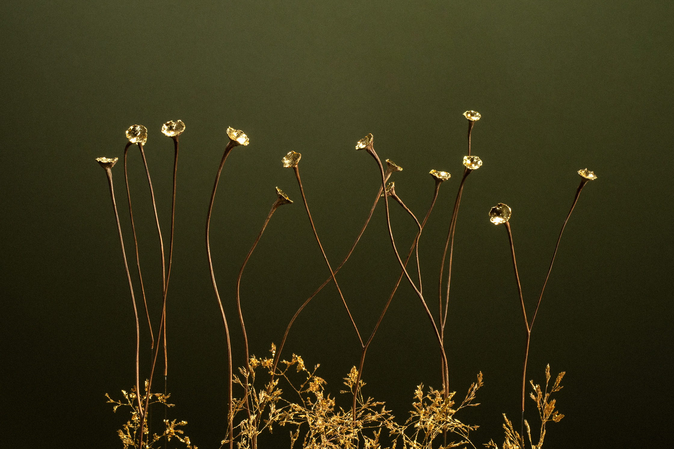 Sophie Blanc – 3/15