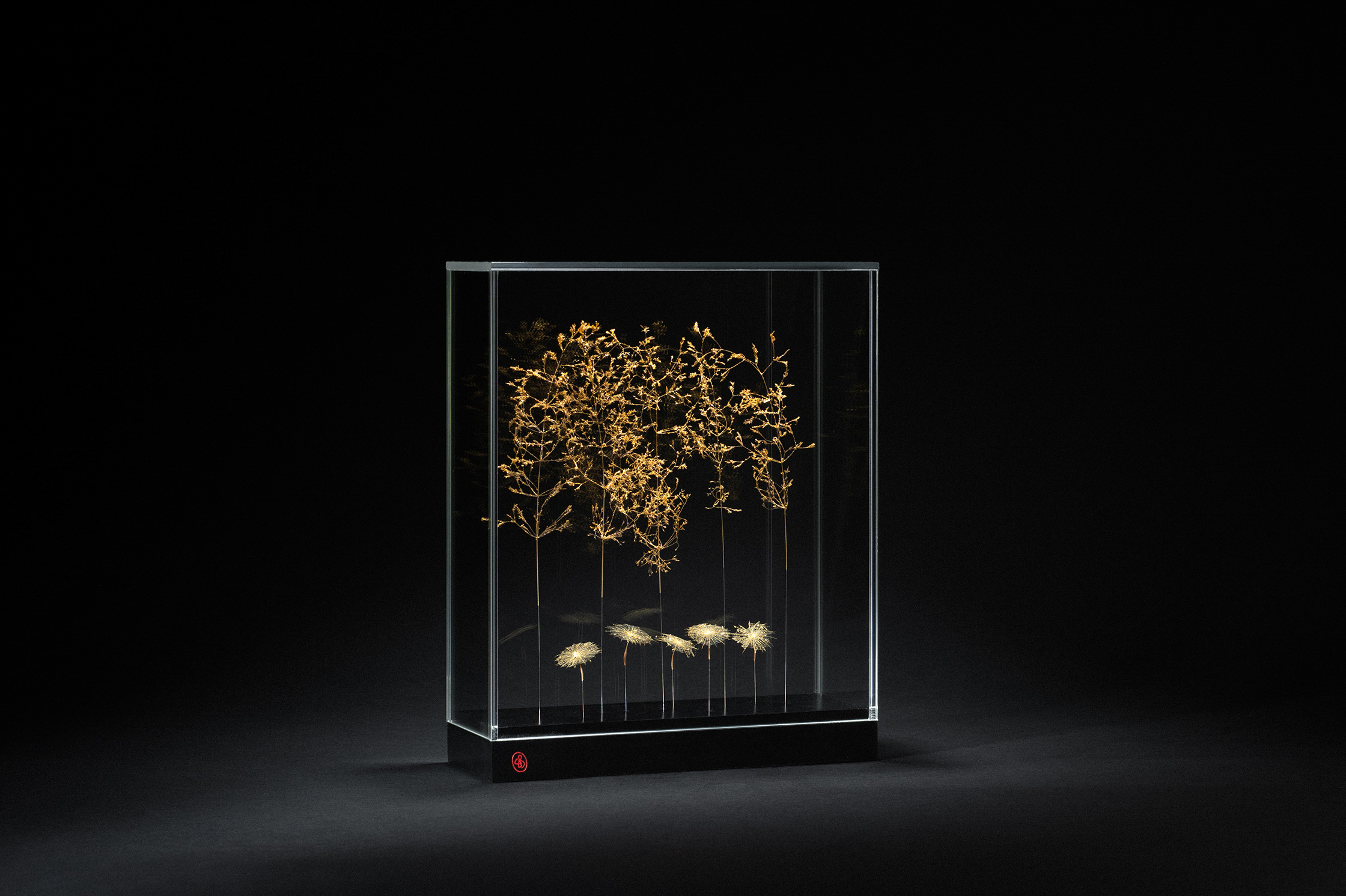 Sophie Blanc – 5/15