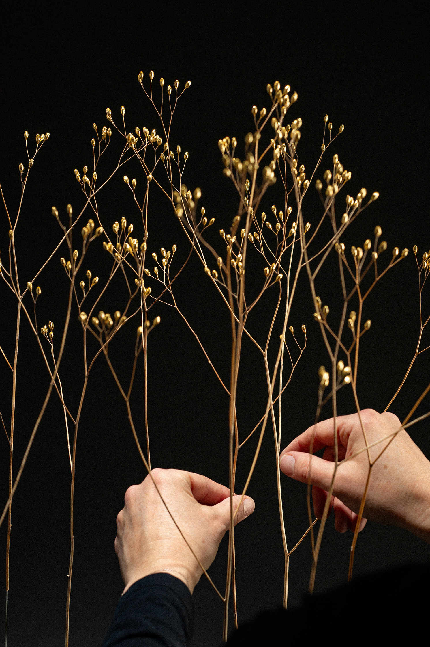 Sophie Blanc – 8/15