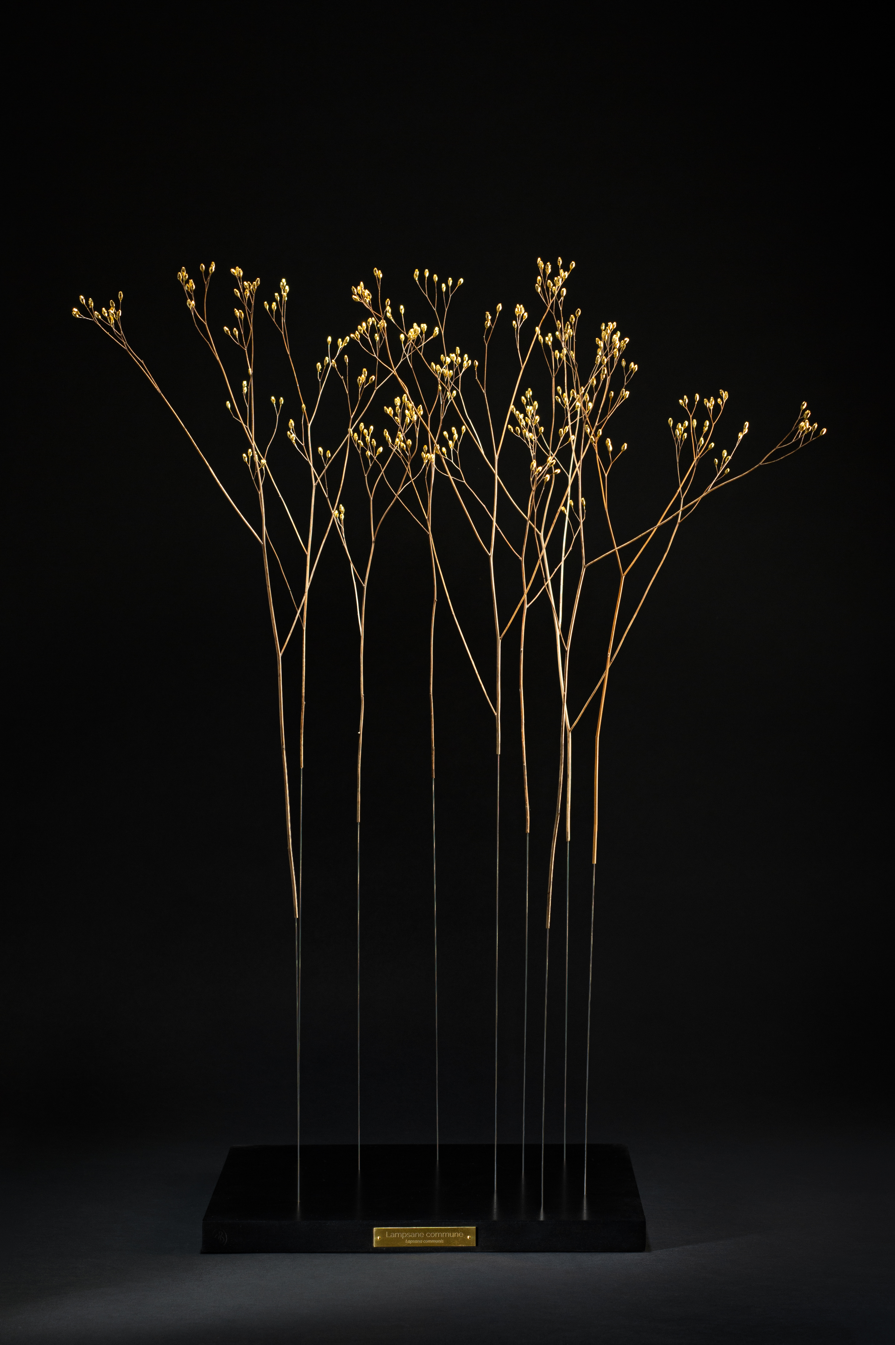 Sophie Blanc – 9/15