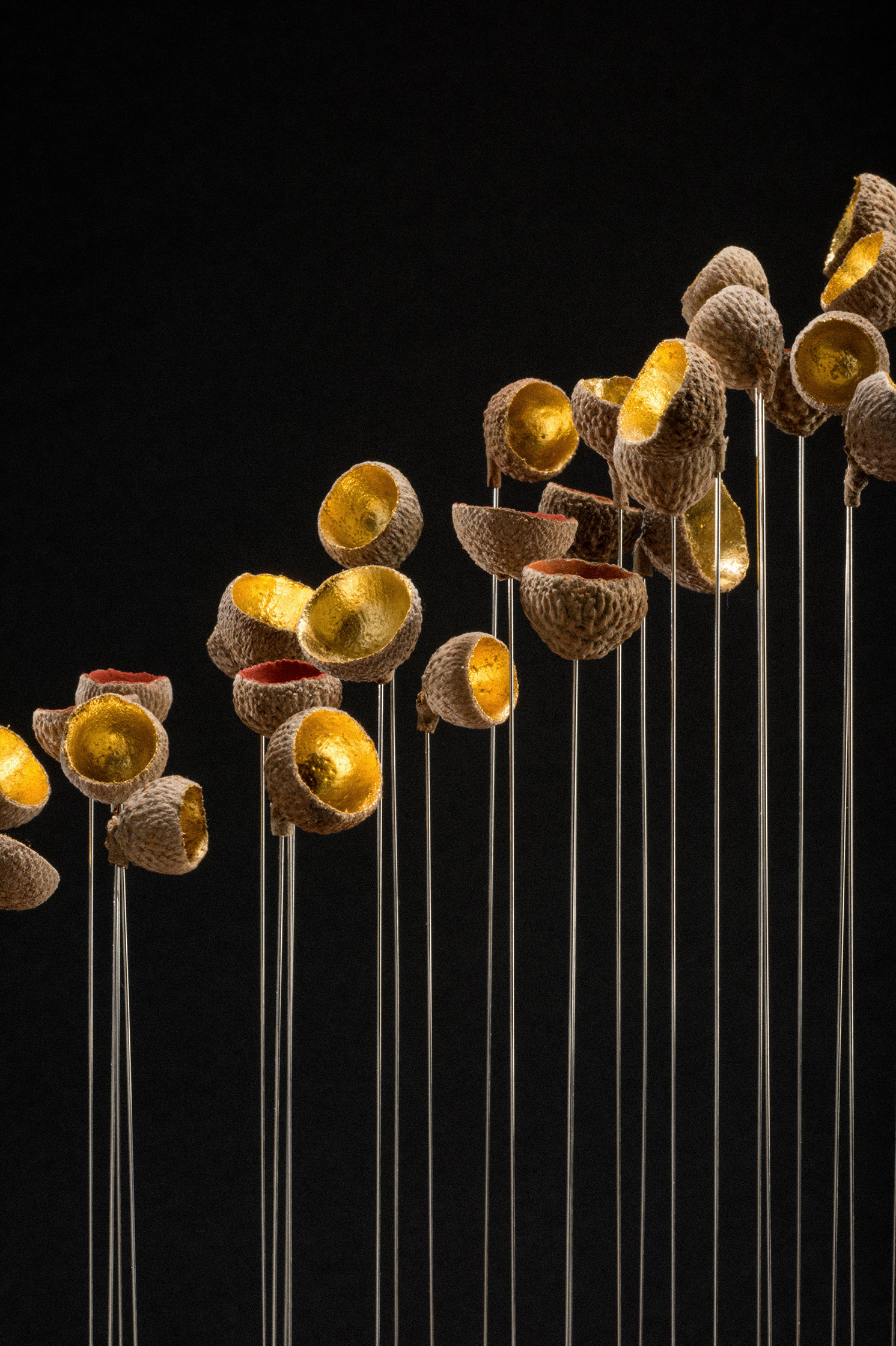 Sophie Blanc – 12/15