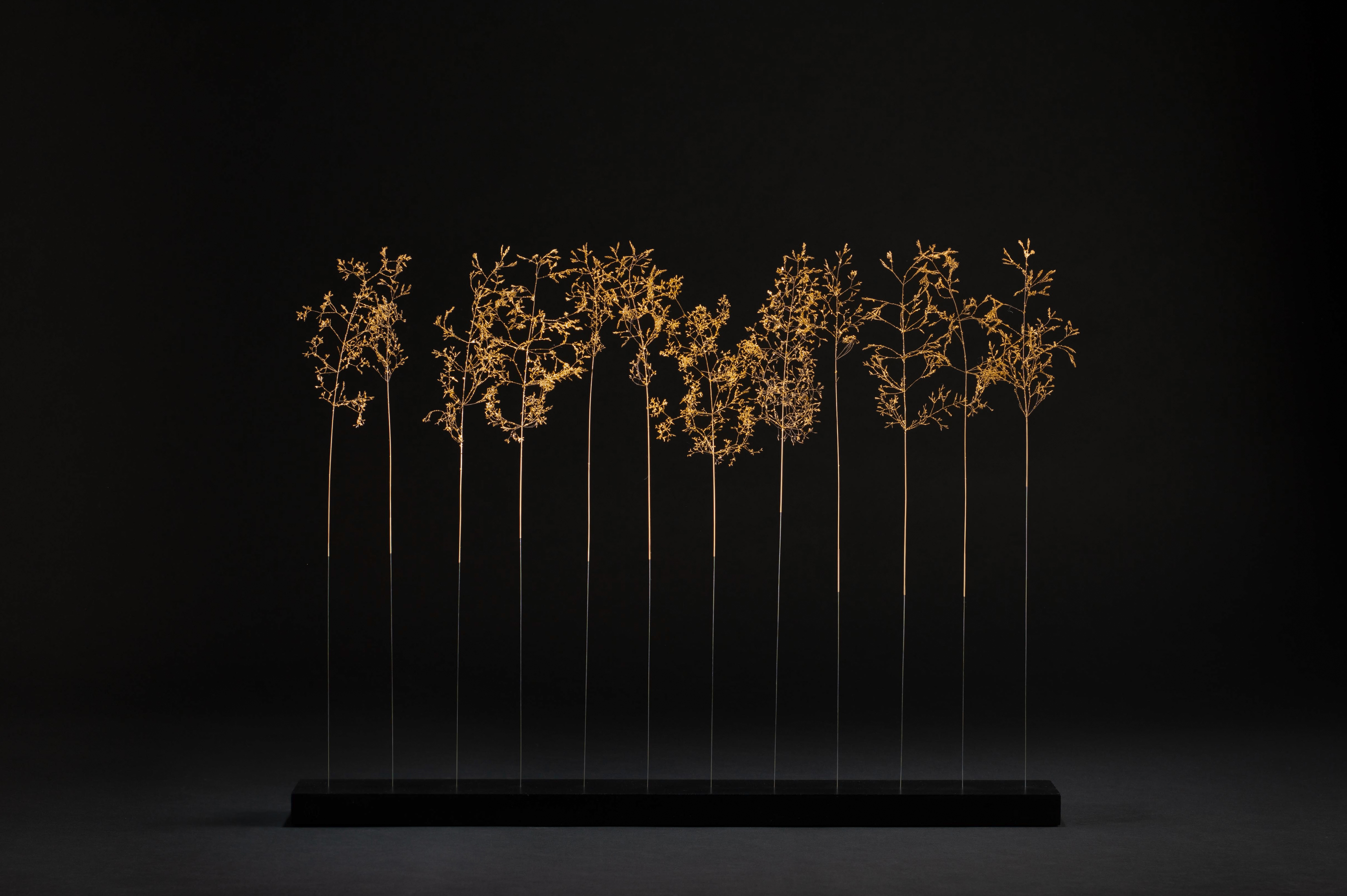 Sophie Blanc – 15/15