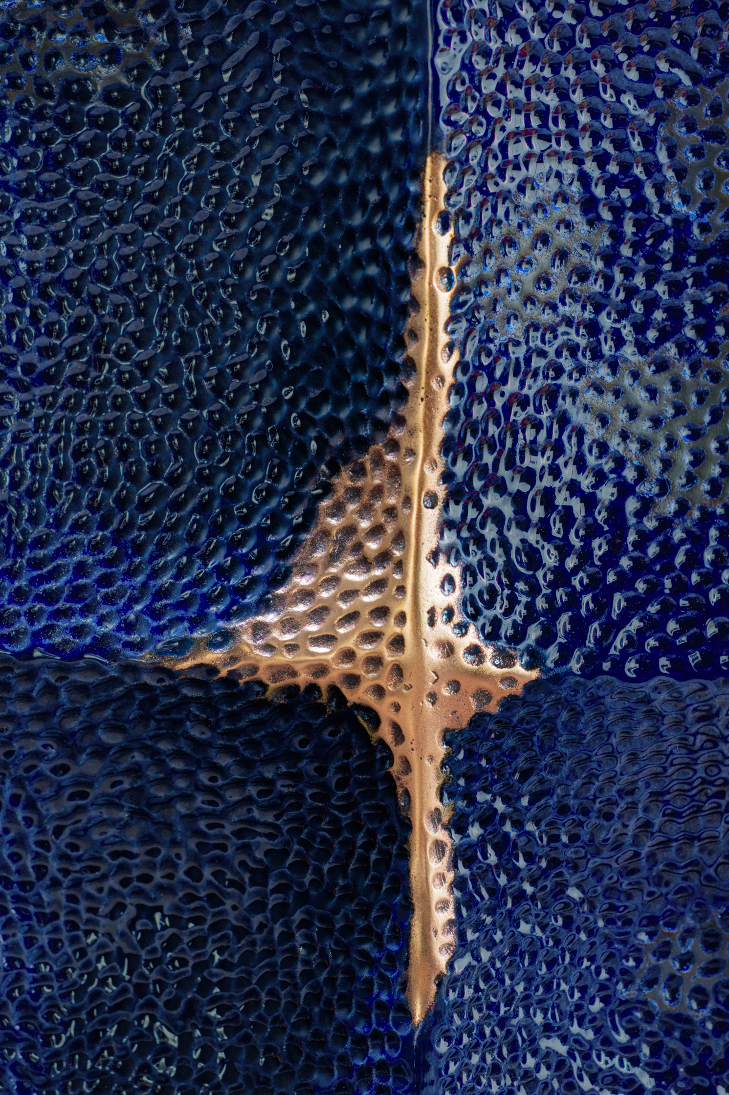 Laura Demichelis – 7/8