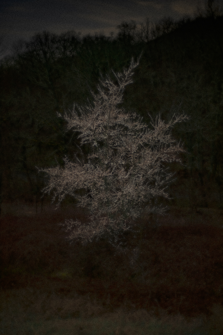 Nocturnes (recherches)