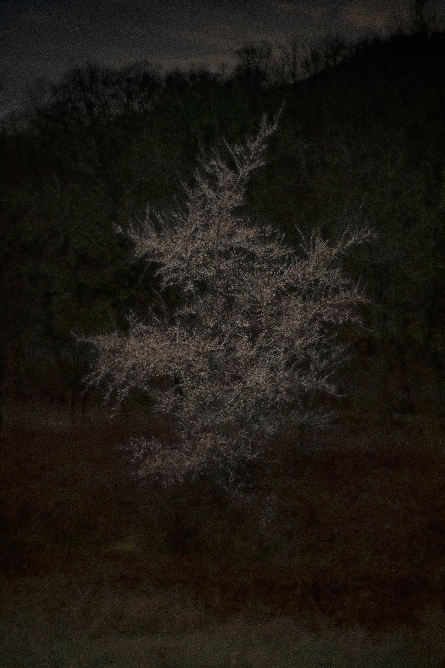 Nocturnes (recherches) – 2/6