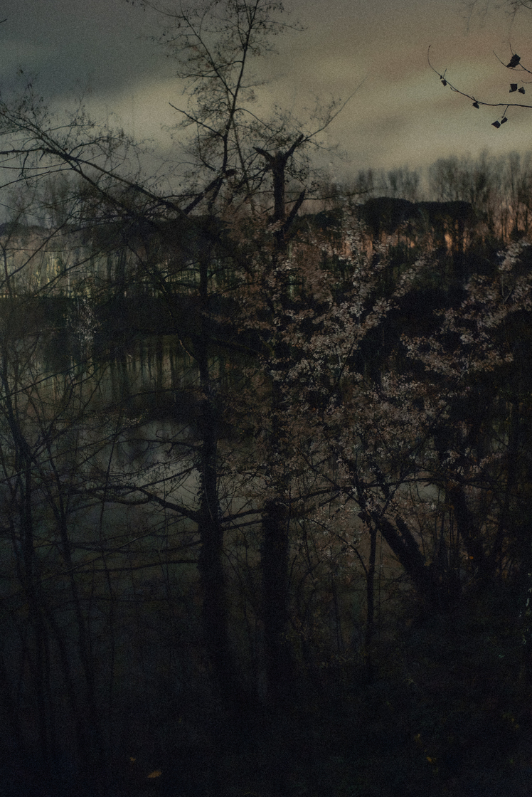 Nocturnes (recherches)