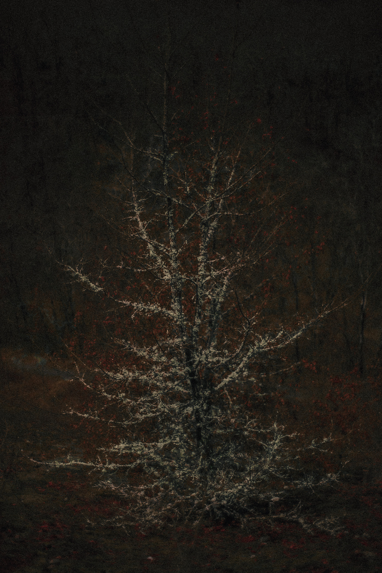 Nocturnes (recherches)