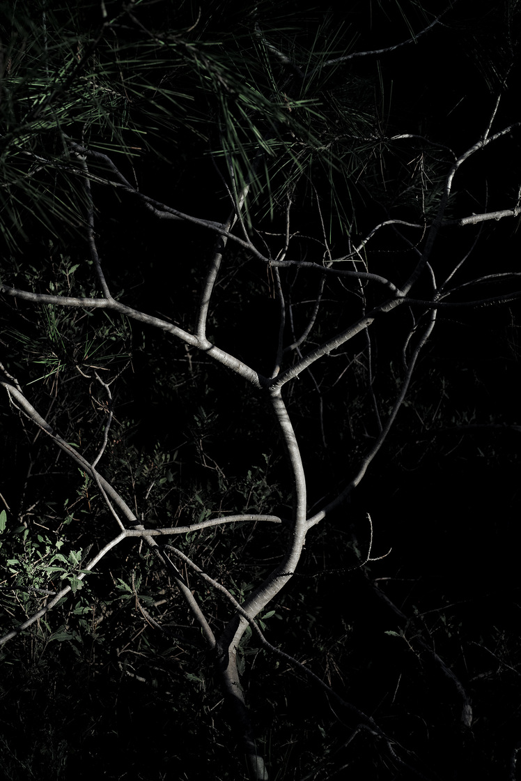 Premières matières