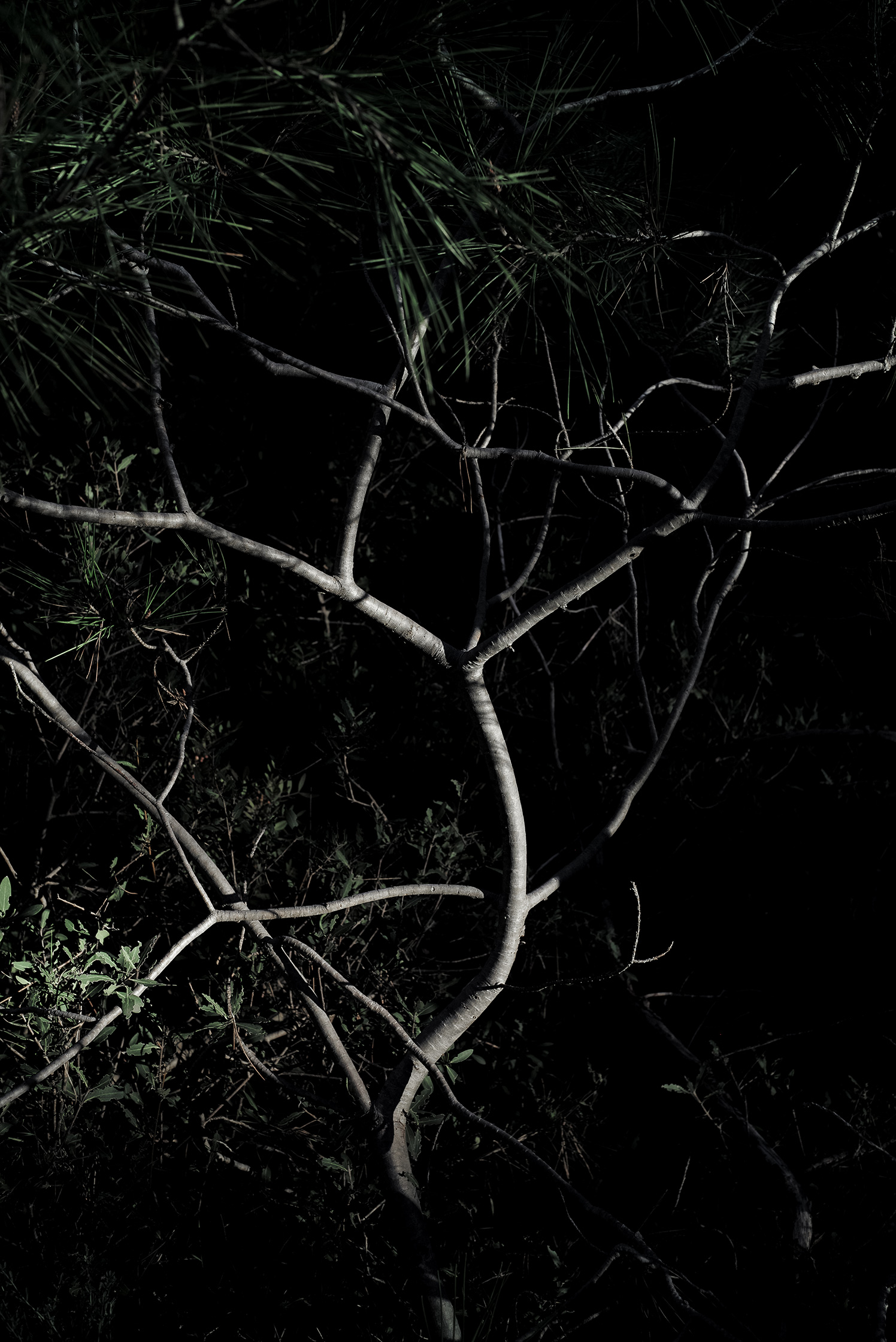 Premières matières