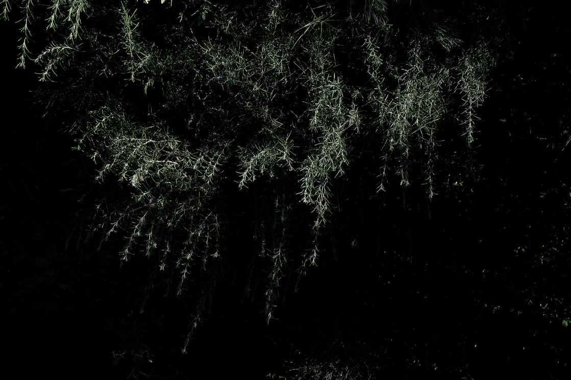 Premières matières