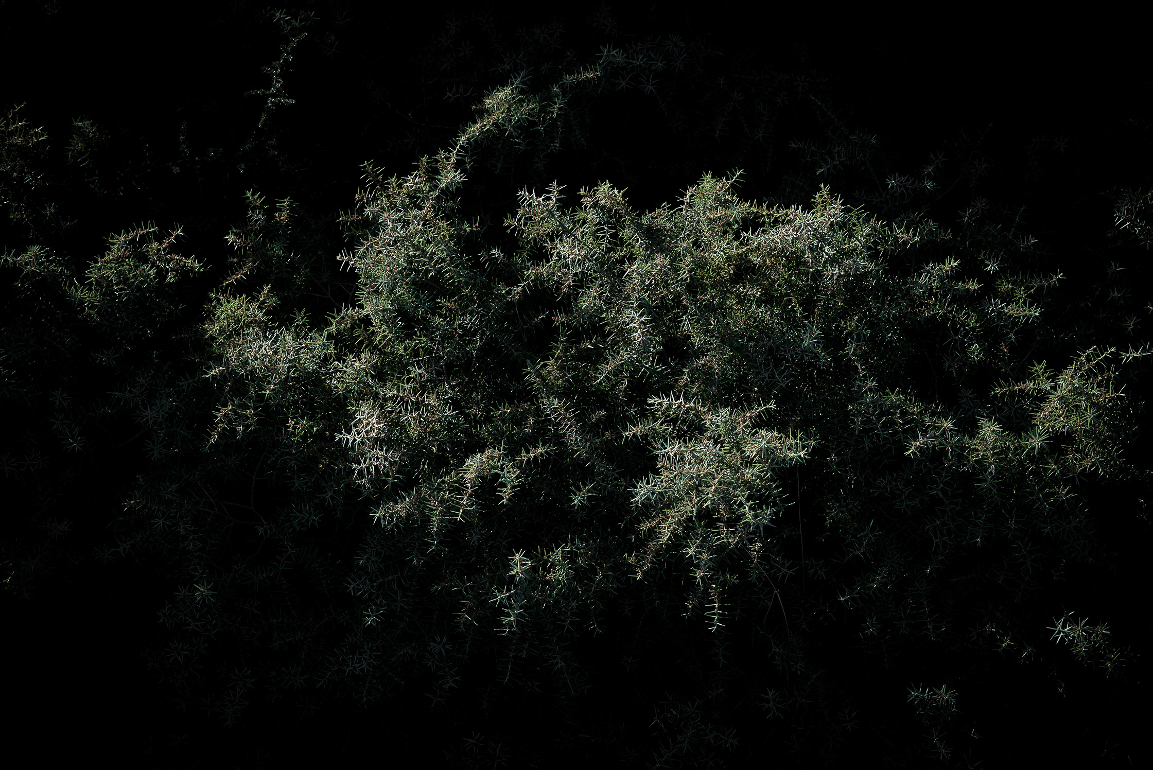 Premières matières – 4/8