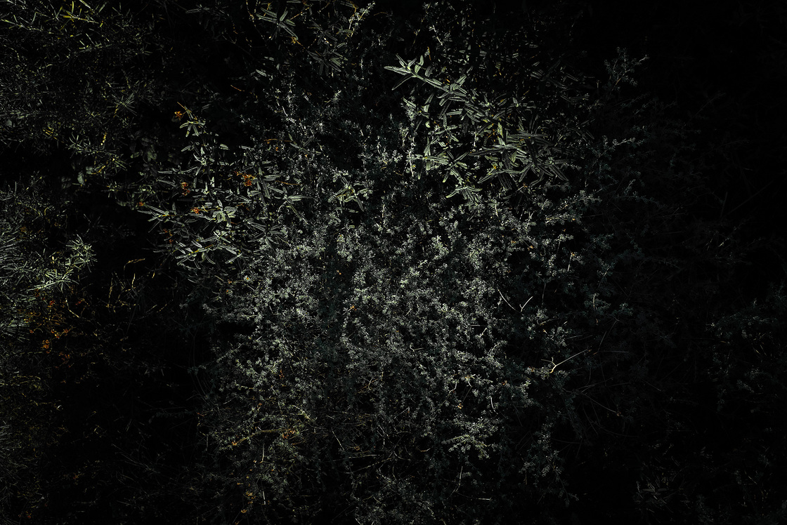 Premières matières