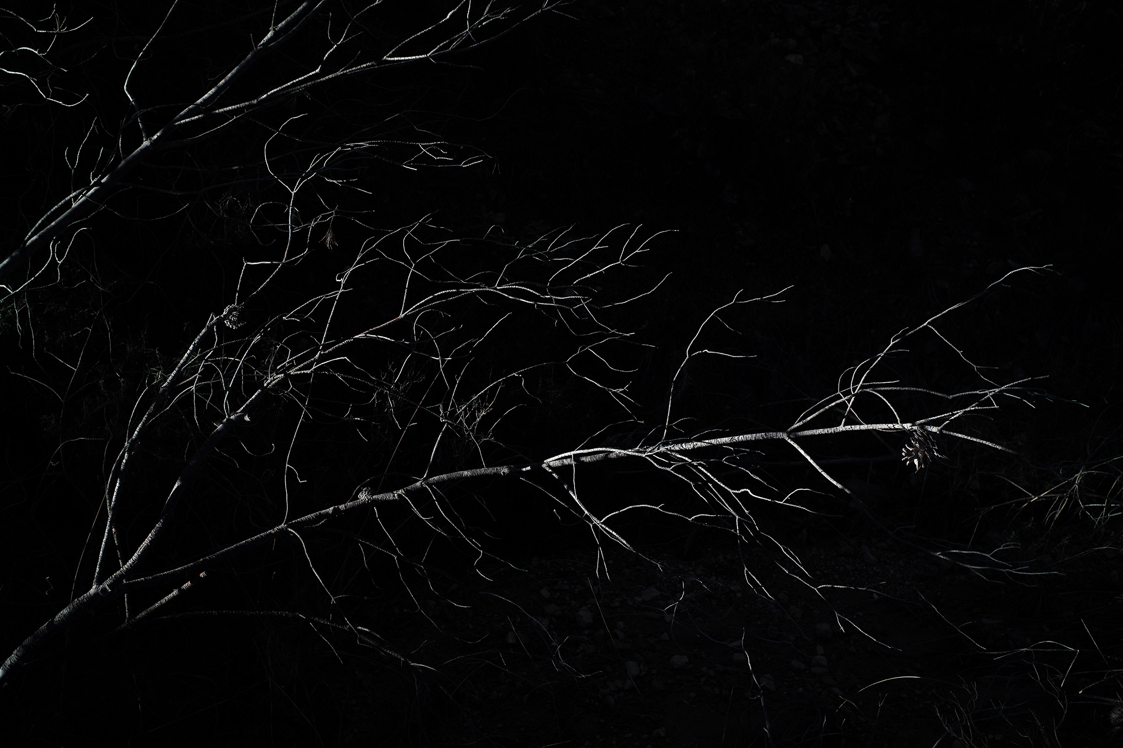 Premières matières – 6/8