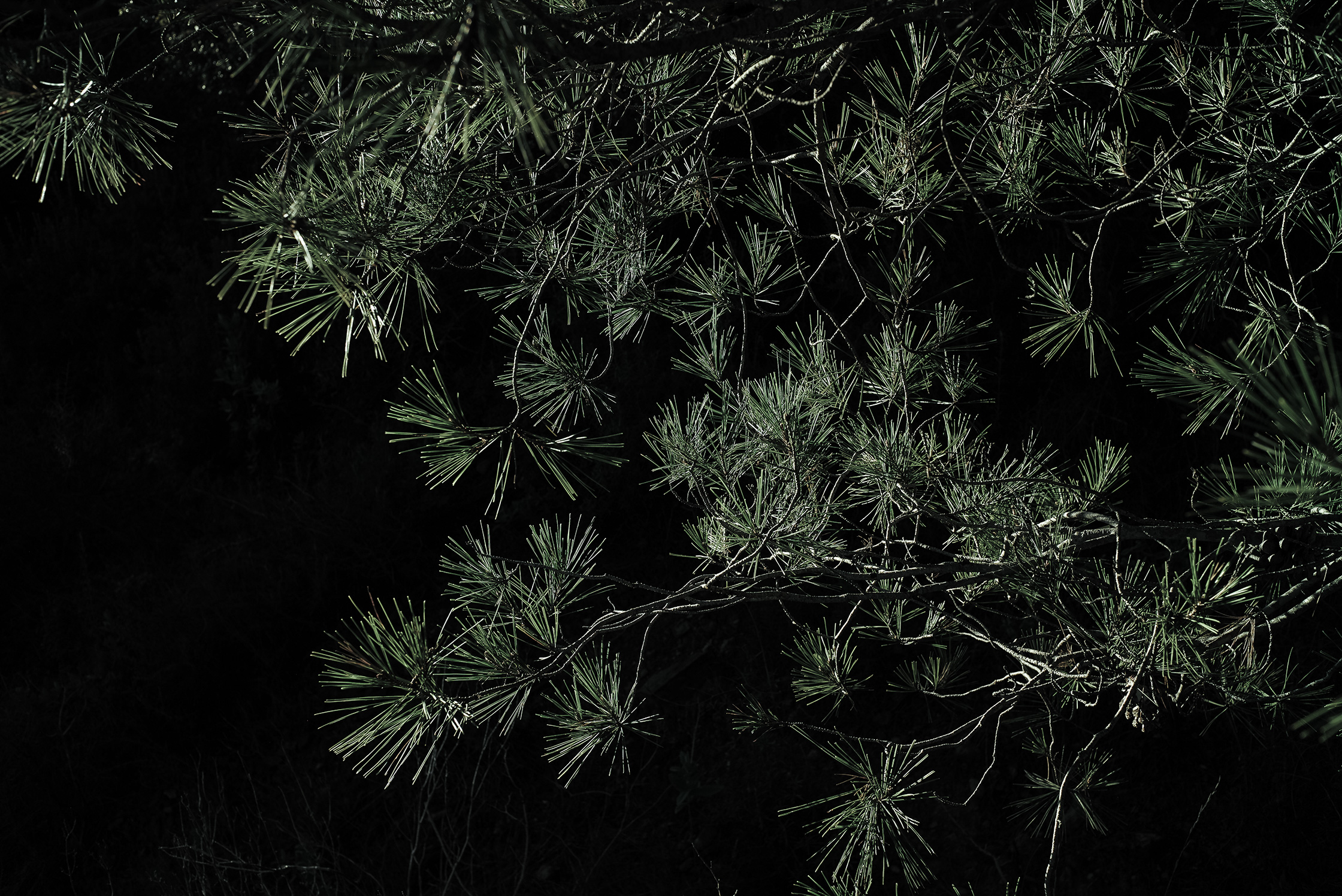 Premières matières – 8/8