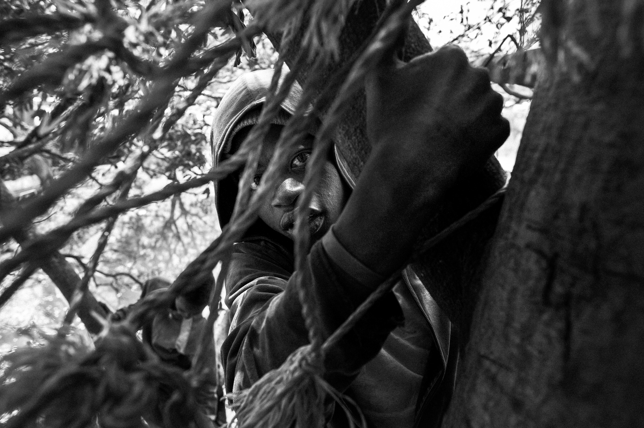 Enfants des arbres – 3/22