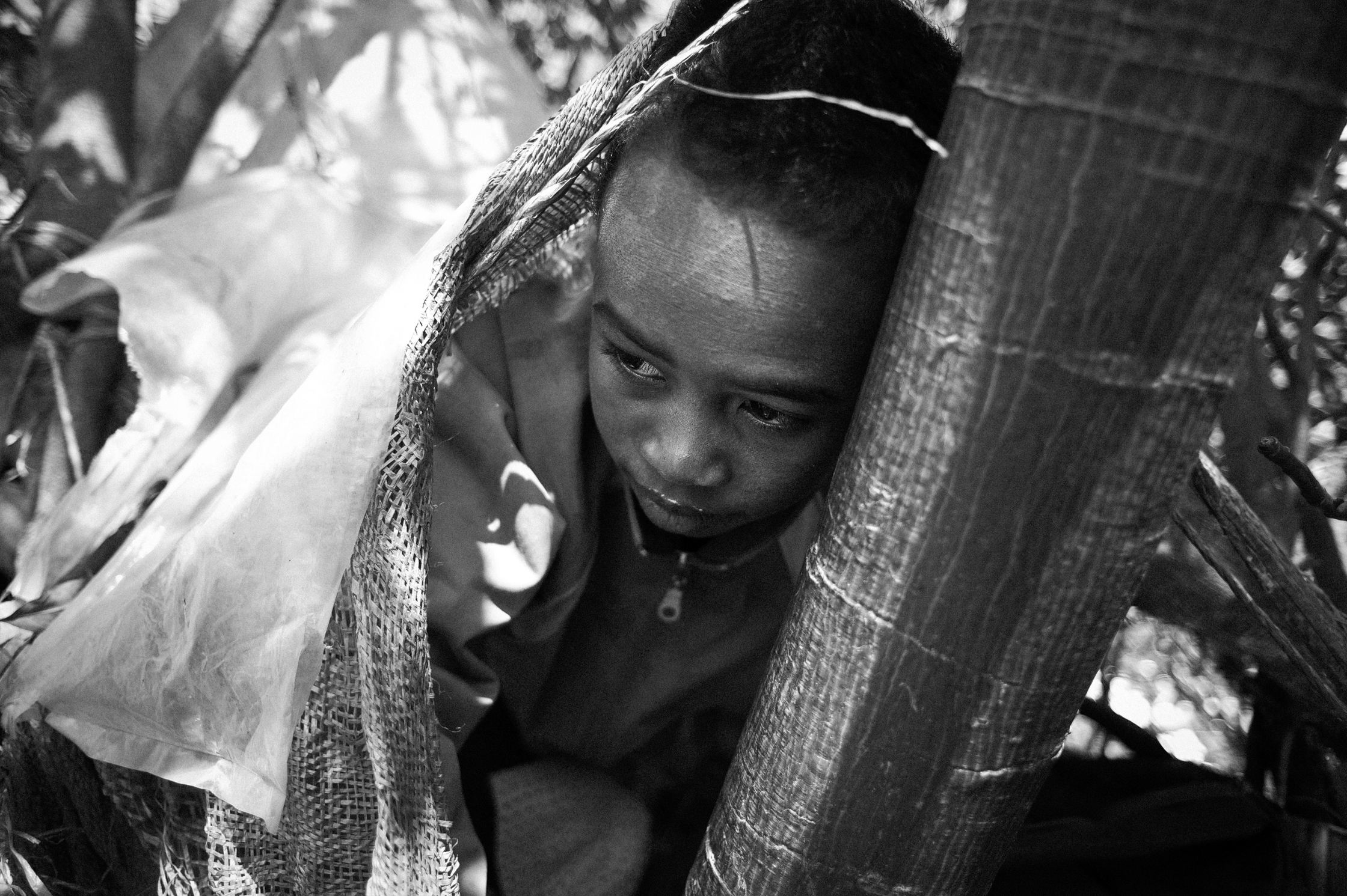 Enfants des arbres – 5/22