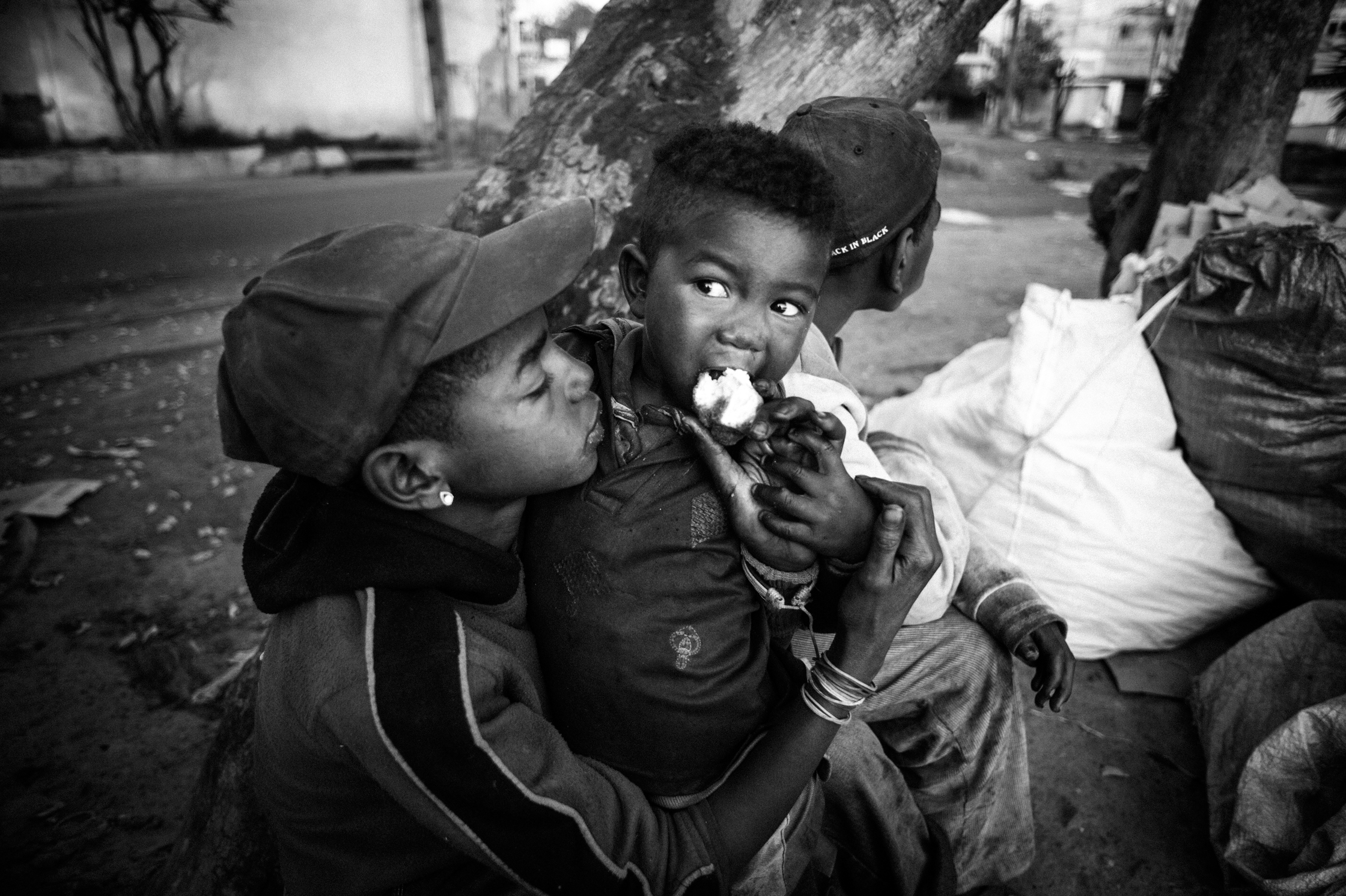 Enfants des arbres – 8/22