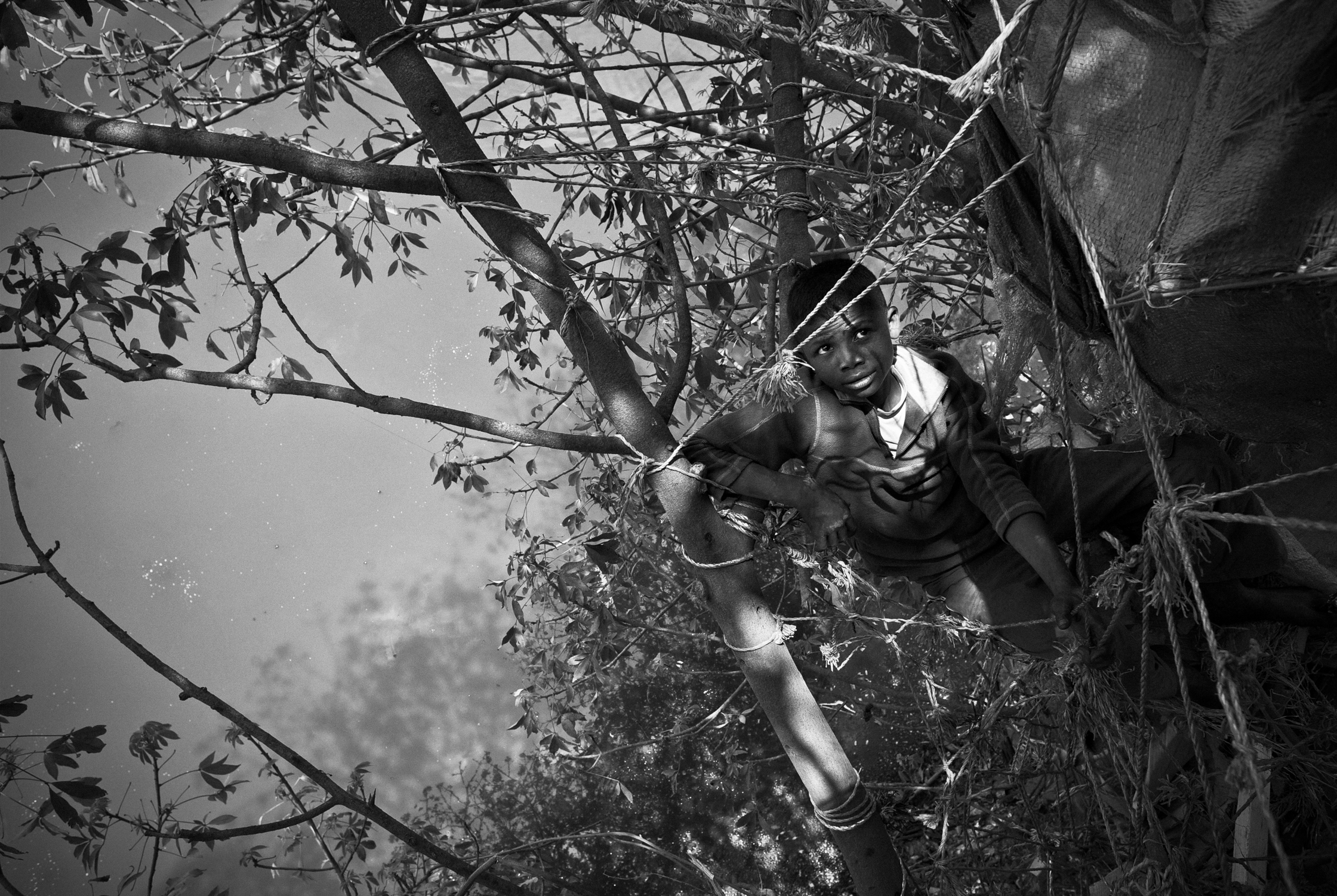 Enfants des arbres – 15/22