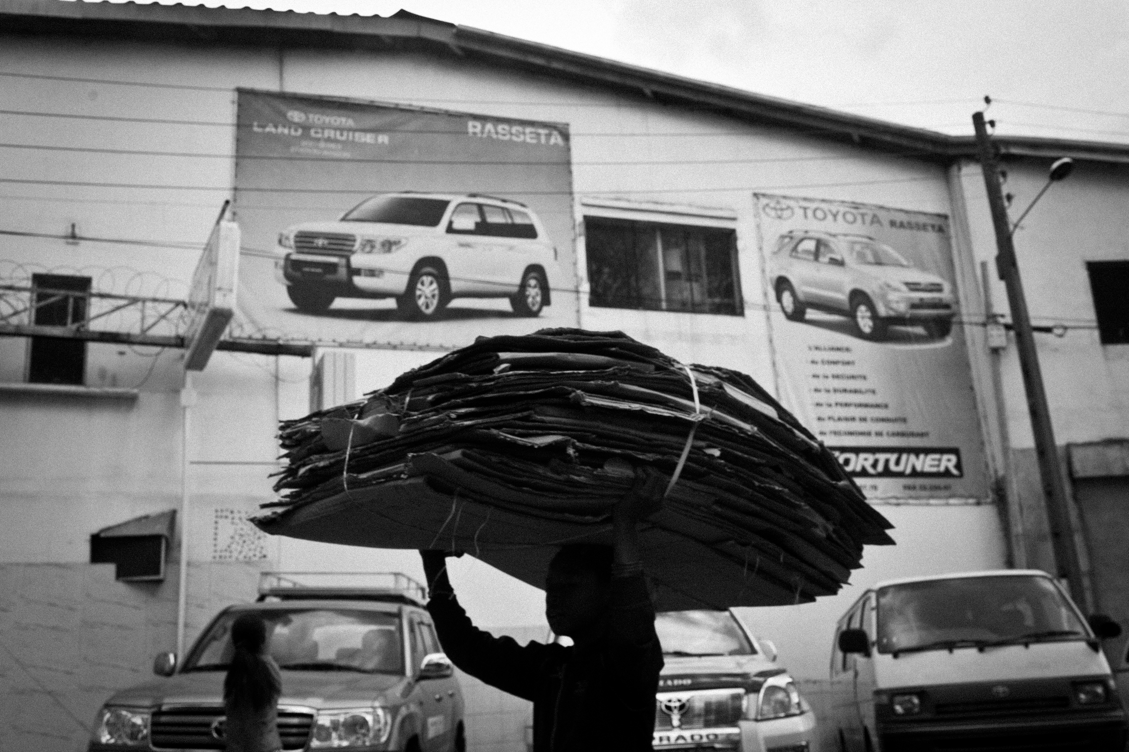 Enfants des arbres – 17/22