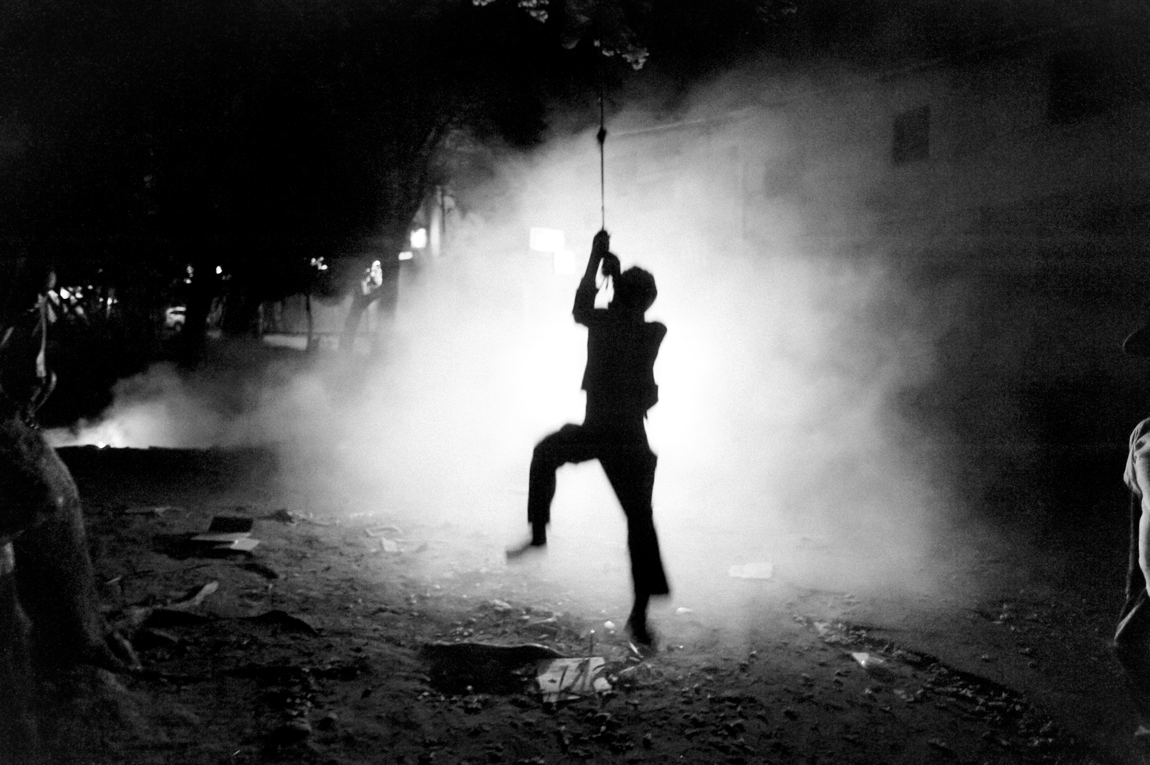 Enfants des arbres – 22/22