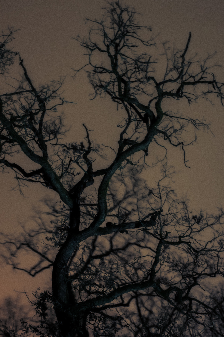 Nocturnes (recherches)