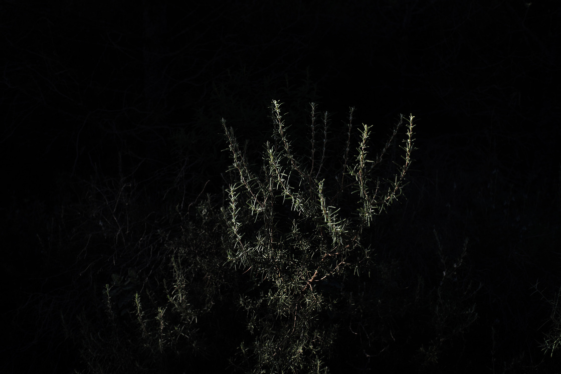 Premières matières