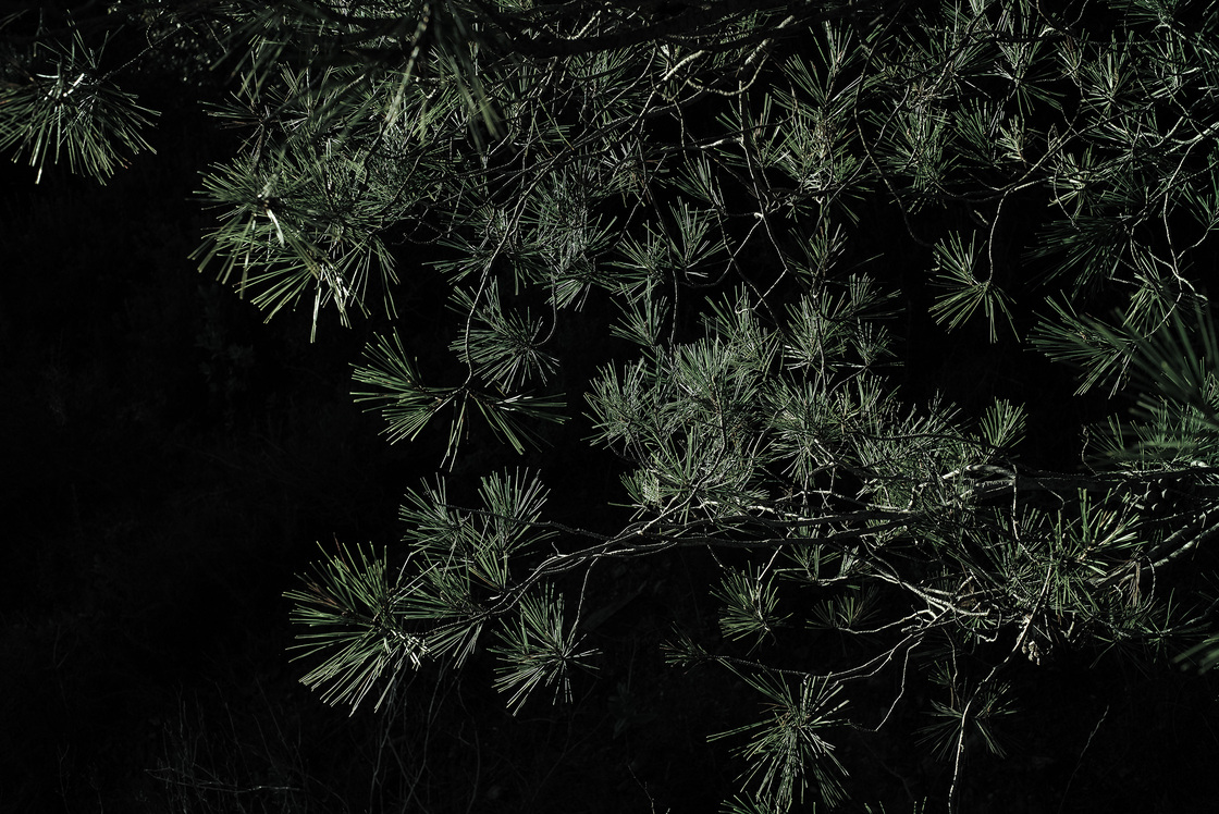 Premières matières